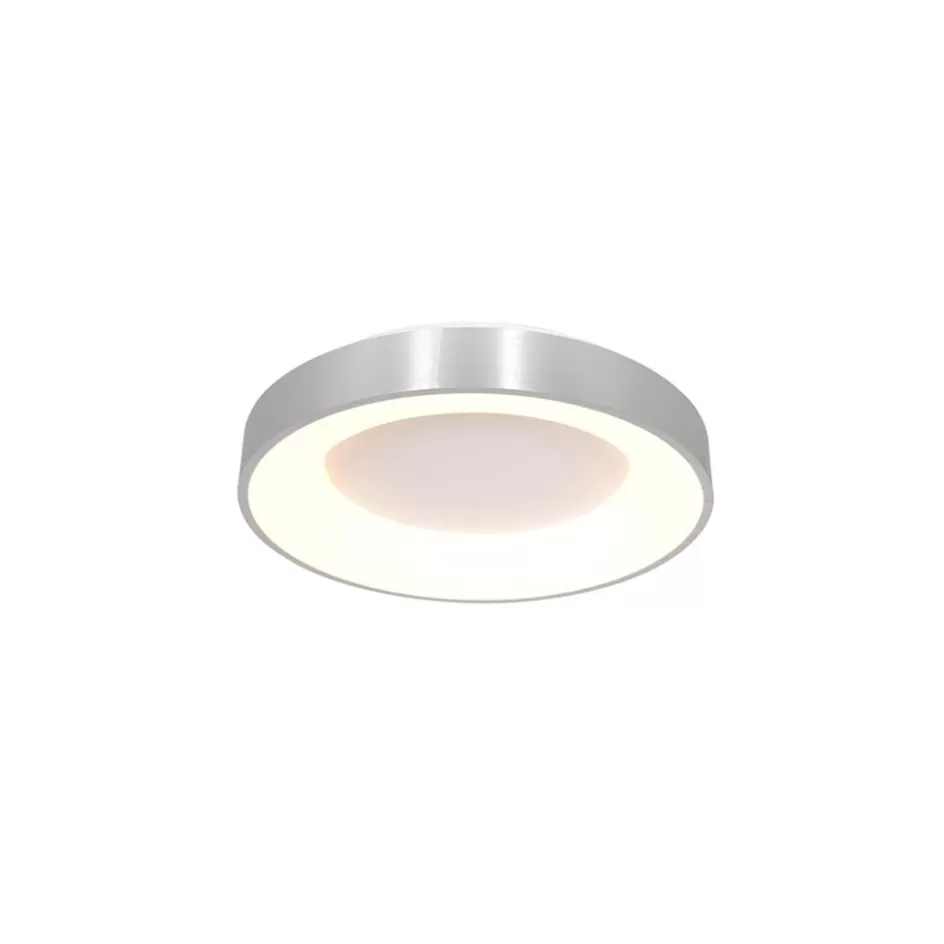 Plafondlampen | Plafonnières>Straluma Plafondlamp Ringlede 30cm rvs led