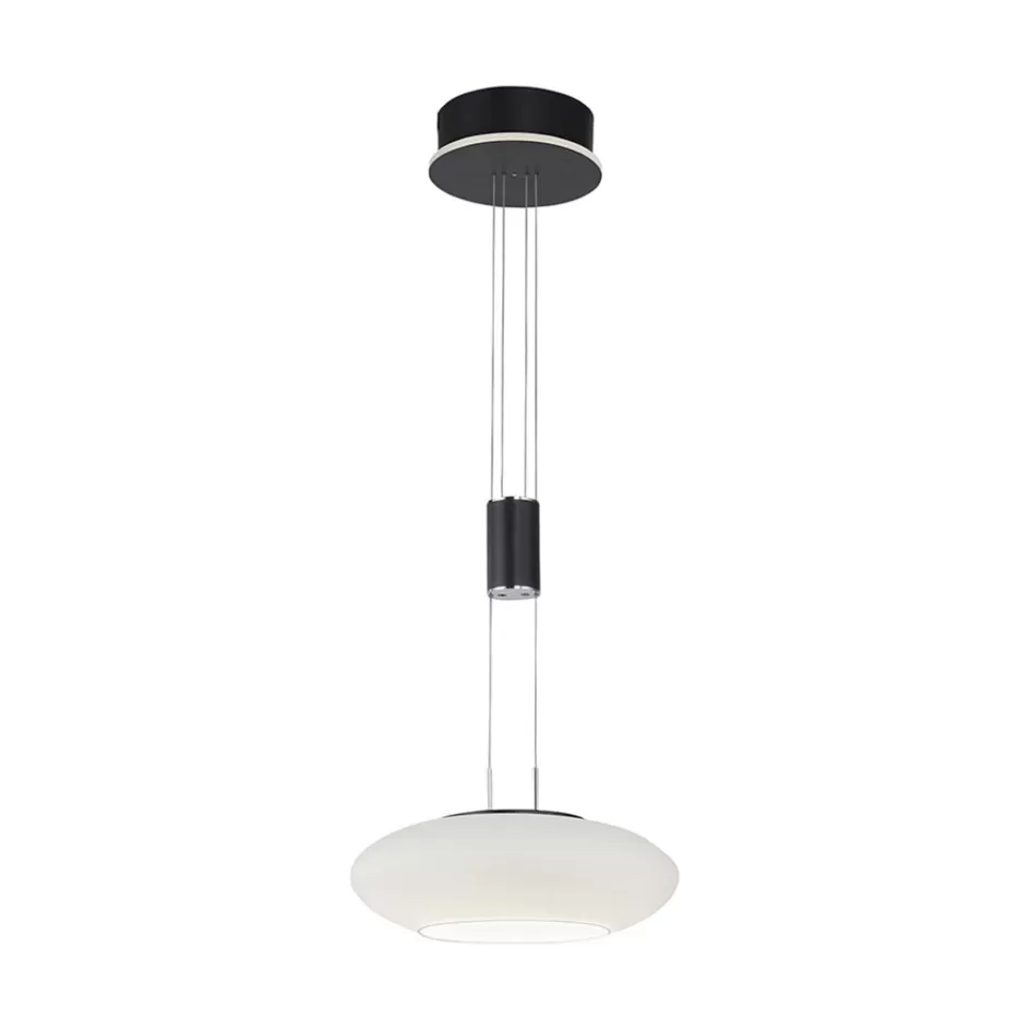 Hanglampen | Smart lampen>Straluma Smart hanglamp mat zwart met opaal glazen kap