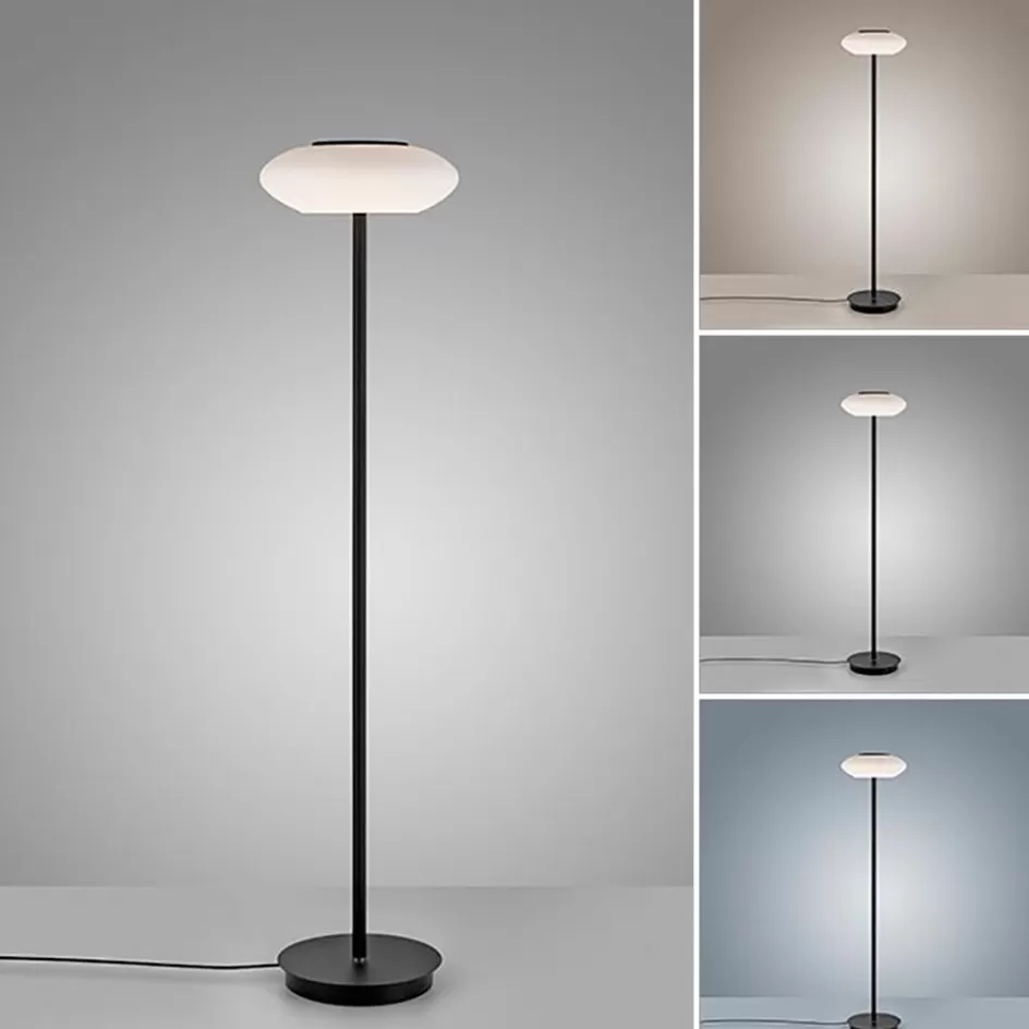 Vloerlampen | Smart lampen>Straluma Smart vloerlamp zwart met wit glas dimbaar