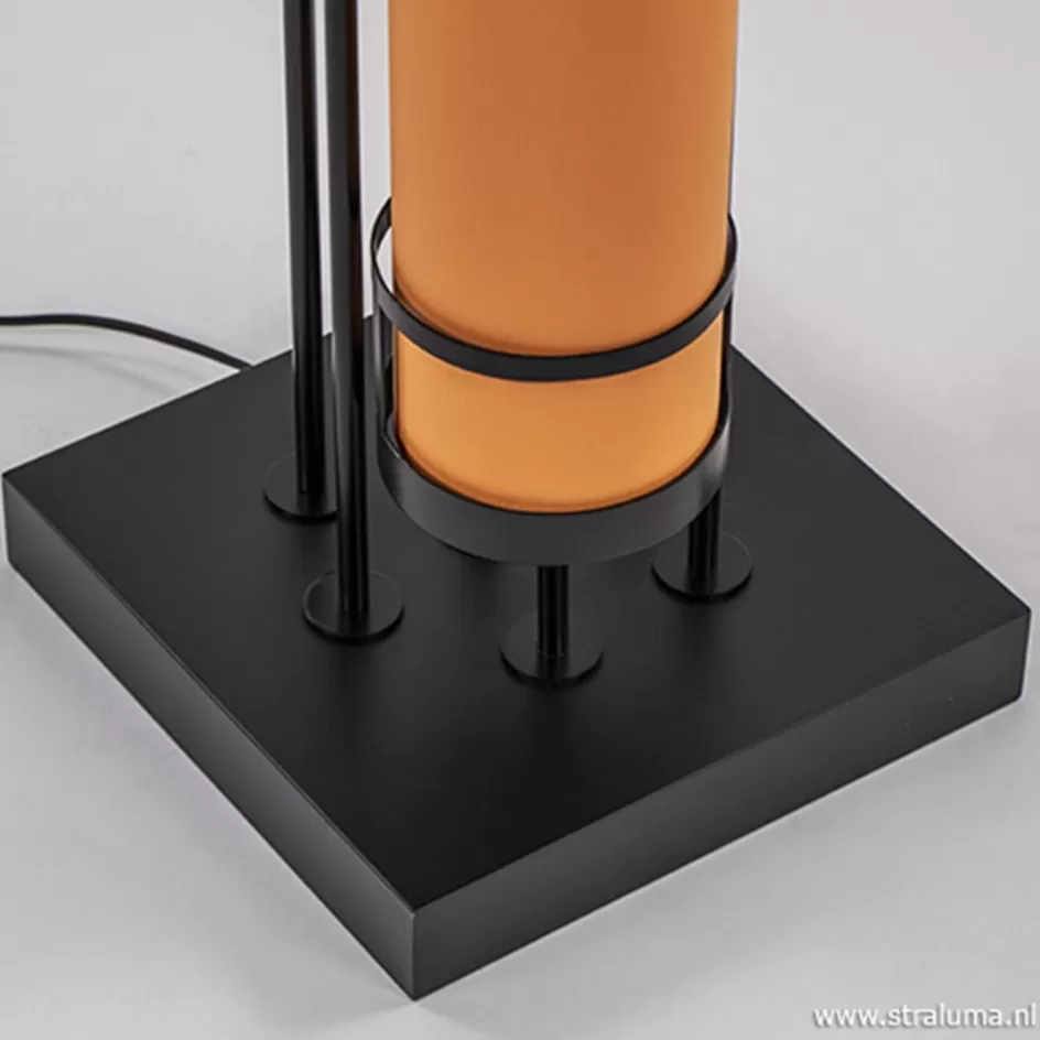 Slaapkamerlampen | Kantoorverlichting>Straluma Vloerlamp zwart 6L multicolor rood